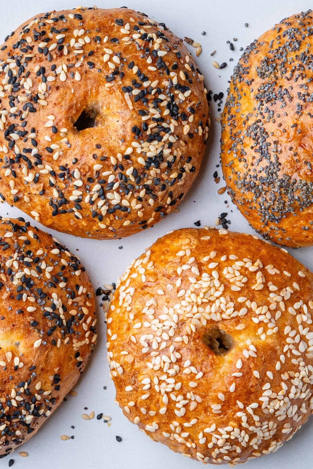 Cottage Cheese Bagels (High-Protein, 3-Ingredient Easy Recipe)